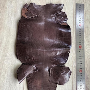 以下が含まれることがあります： 光沢のある仕上げが施されたダークブラウンの質感のあるトカゲの皮。約35センチメートルの長さを示す金属製の定規の隣に配置されています。皮の表面全体には、独特の細かい鱗模様が施されています。