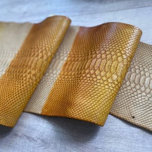 Premium gradient snake leather with authentic reptile texture