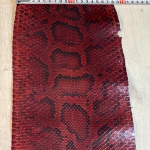 May include: A rectangular piece of red and black snakeskin leather featuring a natural scale pattern. A metal measuring tape is positioned across the top edge, indicating a width of approximately 23.5 cm for the textured material.
