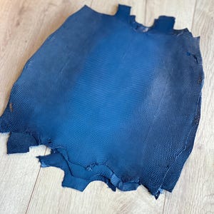 May include: A single piece of dark blue dyed snakeskin leather with a distinct, uniform scale pattern across the surface. The hide features an elongated, irregular shape with raw, uneven edges and a smooth, textured finish throughout the material.