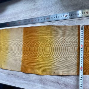 Genuine exotic leather hide with artistic gradient color effect