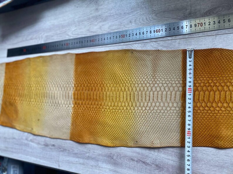 Genuine exotic leather hide with artistic gradient color effect