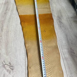 Exotic gradient python leather for handcrafted wallets and leather accessories