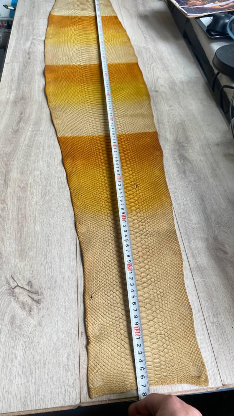 Exotic gradient python leather for handcrafted wallets and leather accessories