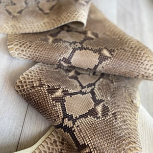 Piel de serpiente pitón natural, tira completa de piel exótica genuina para carteras, retazos de piel de cobra.