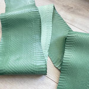 Mint Green Snake Skin Leather Strip, Genuine Exotic Leather for Wallets, Watch Straps and Crafts