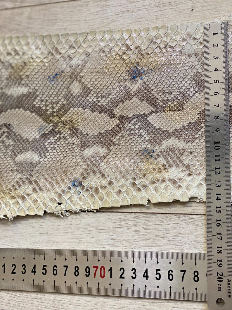 Snake leather material with detailed natural scales close up texture