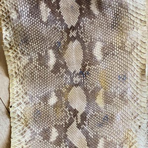 May include: A flat, rectangular piece of snakeskin leather featuring a natural scale pattern. The surface displays a colour palette of cream, beige, and dark brown, with small, scattered blue ink markings visible across the textured, overlapping scales.