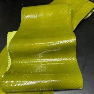 Luxury Green Python Leather, Genuine Snake Skin, Exotic Leather for Wallets