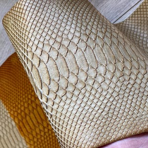 Premium python leather with cream to caramel gradient color transition