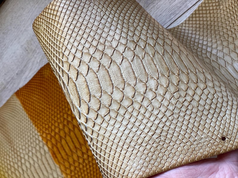 Premium python leather with cream to caramel gradient color transition