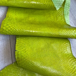 Pelle di pitone verde lime, striscia intera di vera pelle esotica per portafogli, ritagli di pelle di cobra