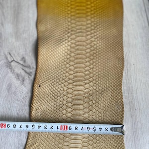 Genuine python leather hide featuring honey and cream gradient finish