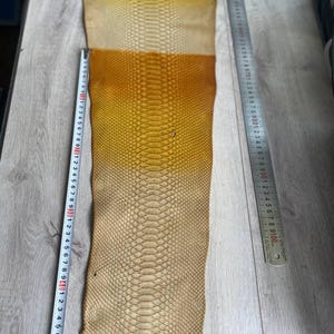 Italian tanned gradient python leather with authentic reptile scales