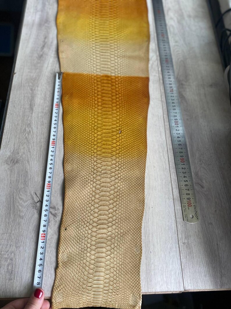 Italian tanned gradient python leather with authentic reptile scales
