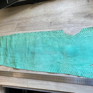 May include: A long, rectangular piece of turquoise snake skin with a distinct scale pattern. A metal ruler is placed along the bottom edge, showing a length of approximately 98 centimetres, and a vertical ruler is positioned on the right side.