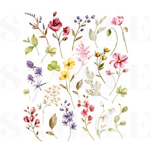 Flores em aquarela PNG, camiseta floral de flores silvestres sublimação PNG para camisas, impressão sublimada feminina do dia das mães, download digital de primavera