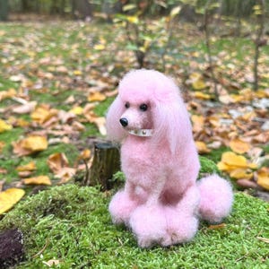 May include: A pink poodle figurine with a white collar and silver studs, sitting on a bed of green moss.