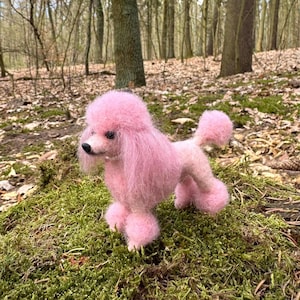 May include: A pink poodle made of wool, standing on a bed of moss in a forest setting.