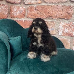 May include: A black and white needle felted cocker spaniel dog sitting on a green velvet couch.