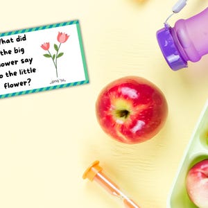 Printable Spring Jokes, Kids Lunchbox Jokes, Lunch Box Notes, Spring ...