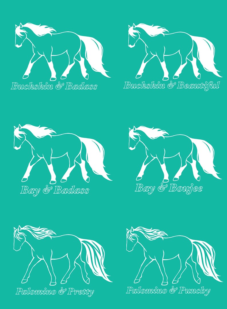 Fun and Sassy Horse Coat Color Tshirts Etsy