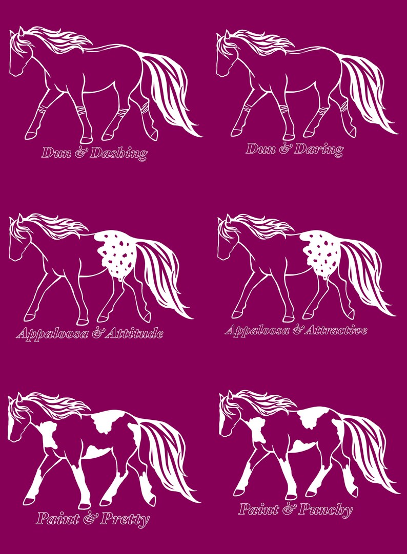 Fun and Sassy Horse Coat Color Tshirts Etsy
