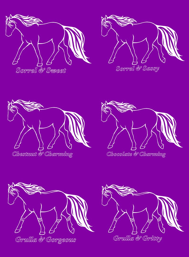Fun and Sassy Horse Coat Color Tshirts Etsy