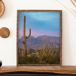 May include: A framed print of a tall cactus in a desert landscape with mountains in the background. The sky is a gradient of blue, purple, and pink.