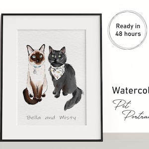 Aangepaste kat schilderij, aquarel kat illustratie, huisdier gedenkteken, kattenportretten van foto's, kattenportret, png-kat kattenportret, mini huisdier portret
