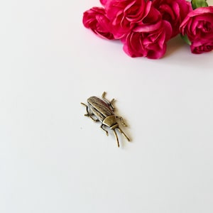 May include: A gold-toned metal cockroach brooch. The brooch is detailed with textured wings and legs.