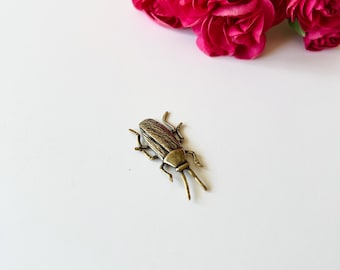 Figura de cucaracha de bronce