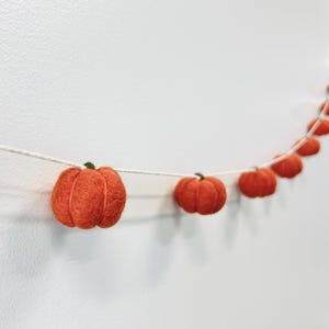 May include: A string of felt orange pumpkins with green stems, strung on white twine. The pumpkins are evenly spaced and hang against a white wall.