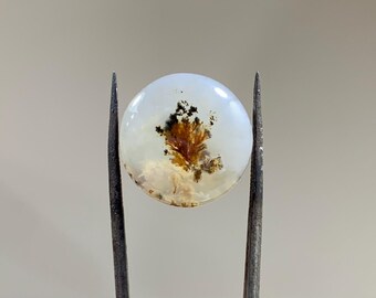 May include: A round, white agate cabochon with brown and black dendritic inclusions. The cabochon is held in place by two metal tweezers.