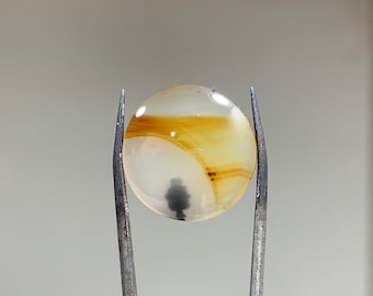 May include: A round, white agate cabochon with brown and orange banding. The stone is held in place by two metal tweezers.