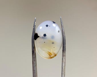 May include: A white oval cabochon gemstone with black and brown inclusions. The gemstone is held in place by a pair of tweezers.