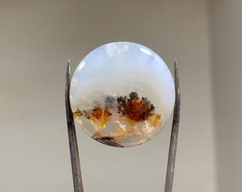 May include: A round, white agate cabochon with brown and orange dendritic inclusions. The agate is translucent and has a cloudy appearance.