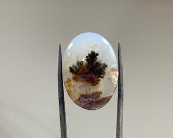 May include: A white agate cabochon with a dendritic pattern in shades of brown, black, and red. The agate is oval shaped and has a smooth, polished surface.