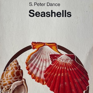 May include: Vintage paperback book cover titled "Seashells" by S. Peter Dance. The cover features illustrations of various seashells in a brown circular frame. The book's title is in bold black letters against a white background.
