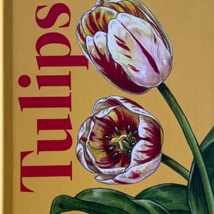 Tulip History Gift Hardcover Book