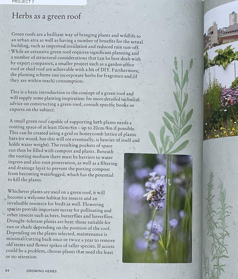 Herb as a Green Roof, Kew Garden Botanical Illustrations