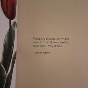 Sandra Sigman.