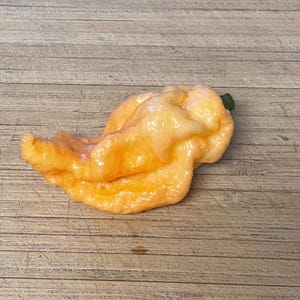 Carolina Reaper - Jay's Peach Ghost Scorpion - Rare Non-GMO Seeds - Organic Seeds - Gardener Gift - Exotic Chili Seeds - Hybrid Hot Pepper