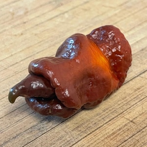 Super Hot Pepper Seeds - Rare Non-GMO Organic Pepper Seeds - Garden Gift - Exotic Seeds - Hot Pepper - Heirloom Pepper Seeds - Amnesia Seeds