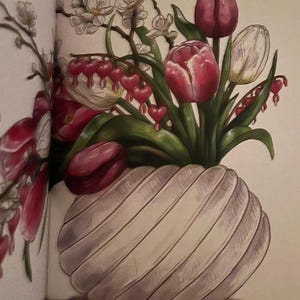 Pink Tulips White