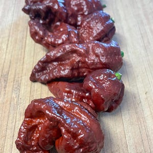 Death Spiral Pepper Seeds - Non-GMO Seeds - Garden Gift - Exotic Seeds - Rare Pepper Seeds - Organic Seeds - Chili Pepper Seeds - Hot Pepper