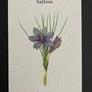 Botanical Cooking Gift Idea