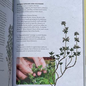 Growing Guide Book for Beginner Gardener
