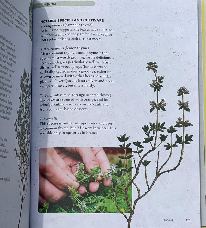Growing Guide Book for Beginner Gardener