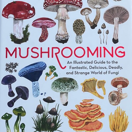 An Illustrated Guide to the Fantastic Delicious Deadly and Strange World of Fungi Adaptogen Cordyceps Mushroom Foraging Recipe Book Fitness